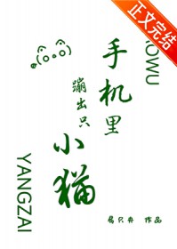 手机里蹦出只小猫