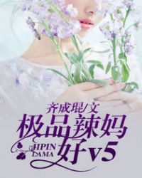 极品辣妈好V5